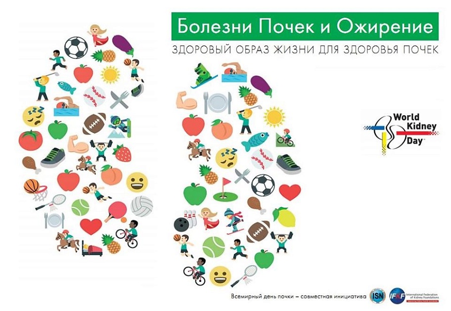 12 марта отмечается Всемирный День Почки. 